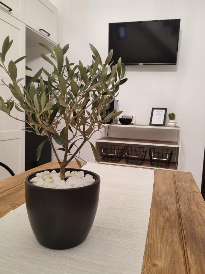 L'Oliva Contesa - La Nera Apartment Gaeta Ngoại thất bức ảnh